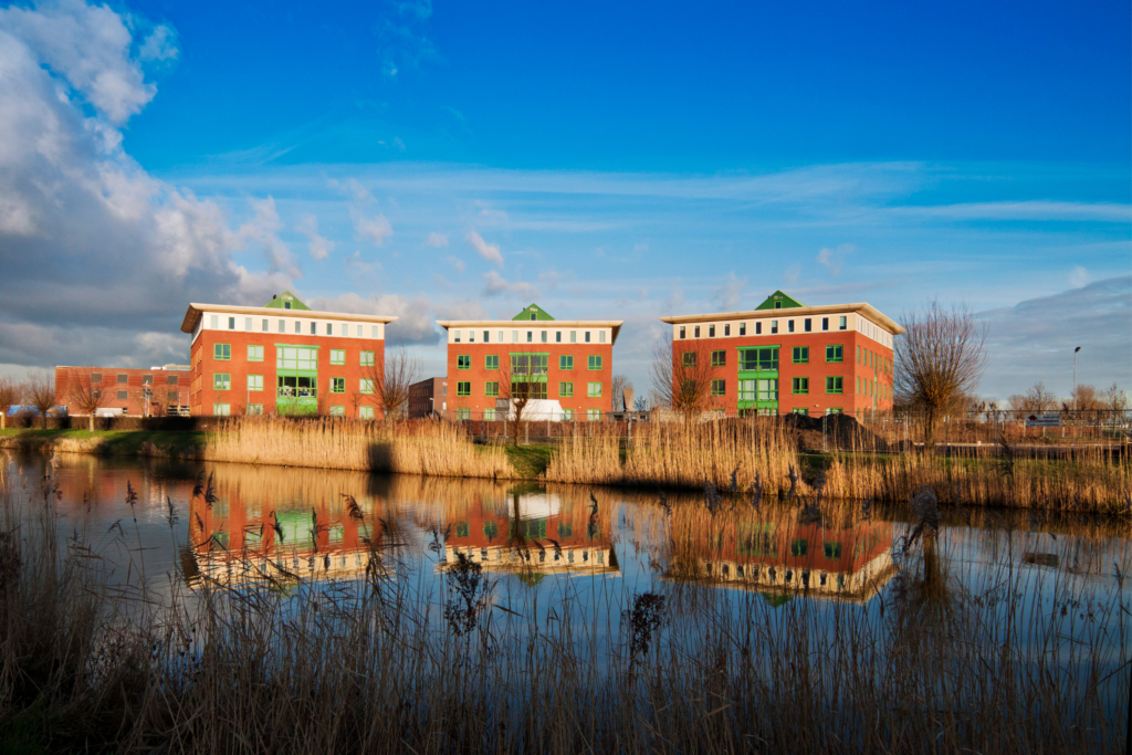 Young Real Estate Investments